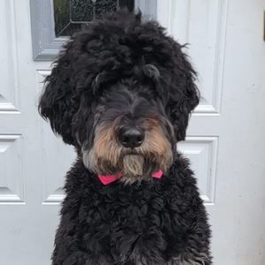 Meet your Posher, Renee